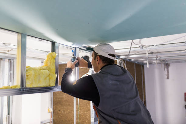 Best Cellulose Insulation in Lake Village, AR