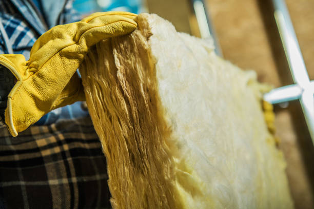 Best Spray Foam Insulation in Lake Village, AR