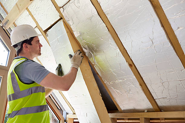 Best Insulation Maintenance and Repair in Lake Village, AR