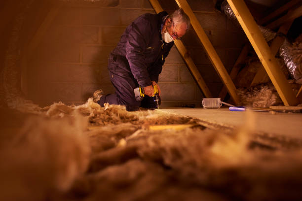 Best Geographic-Specific Insulation Services in Lake Village, AR